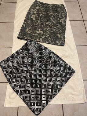 Ann Taylor Tapestry & Embroidered Skirt Bundle